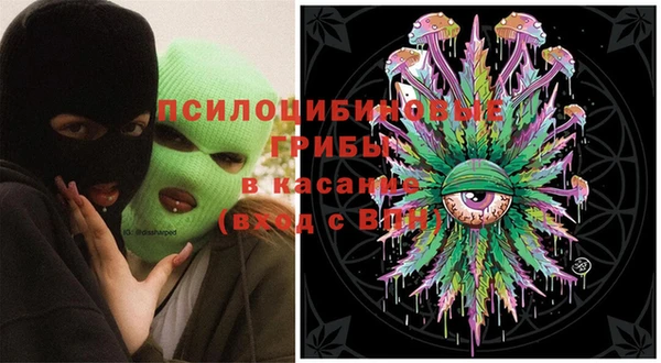 apvp Аркадак
