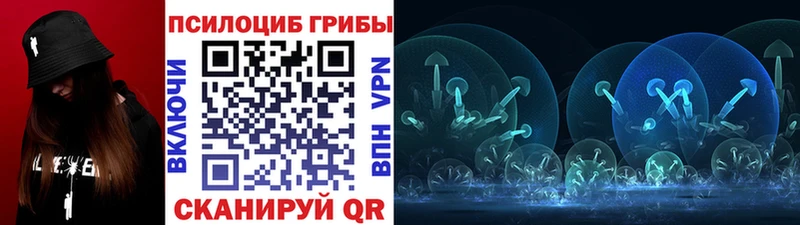 Псилоцибиновые грибы мицелий Пучеж